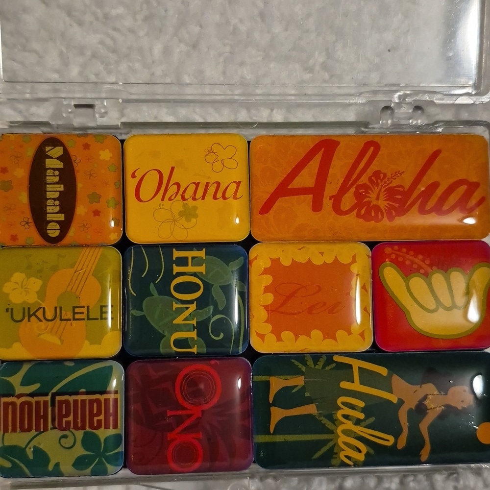 Hawaiian Kine Words Ten-Piece Magnet Set - Bright Tropical Colors
